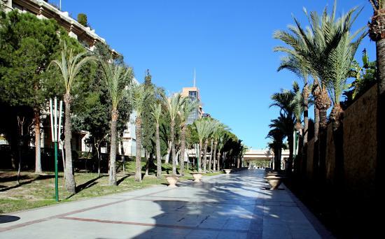 Parque de l'Aigüera